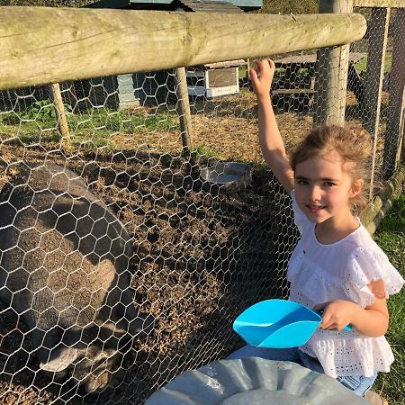Willow Court Farm Studio South & Petting Farm, 8 Mins From Legoland & Windsor, 15 Mins From Lapland Uk Dış mekan fotoğraf