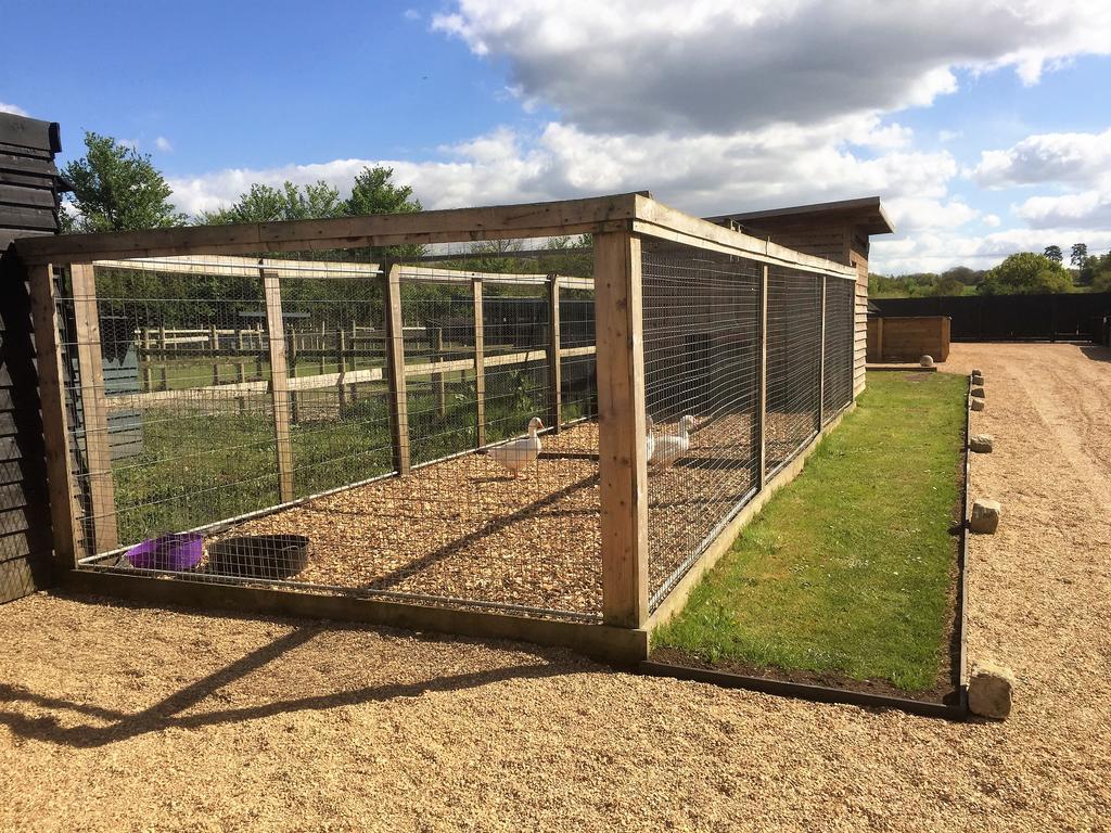 Willow Court Farm Studio South & Petting Farm, 8 Mins From Legoland & Windsor, 15 Mins From Lapland Uk Dış mekan fotoğraf
