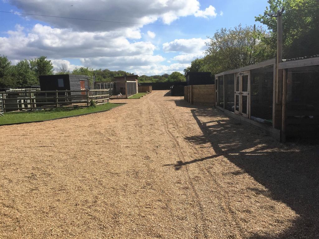 Willow Court Farm Studio South & Petting Farm, 8 Mins From Legoland & Windsor, 15 Mins From Lapland Uk Dış mekan fotoğraf