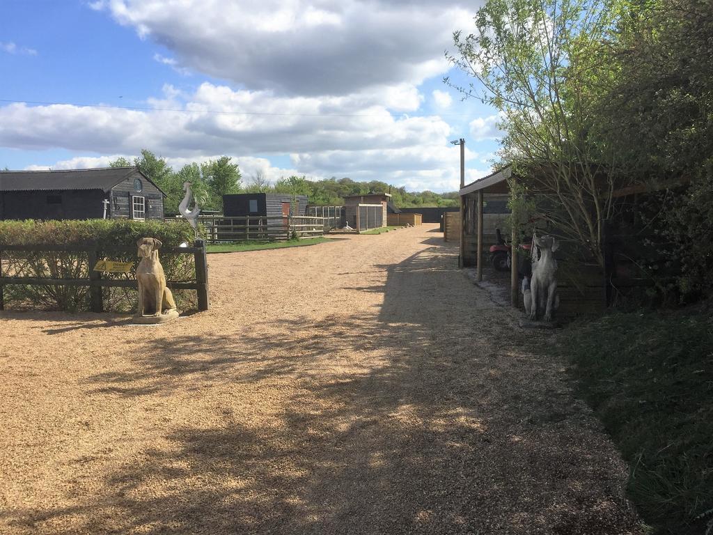 Willow Court Farm Studio South & Petting Farm, 8 Mins From Legoland & Windsor, 15 Mins From Lapland Uk Dış mekan fotoğraf