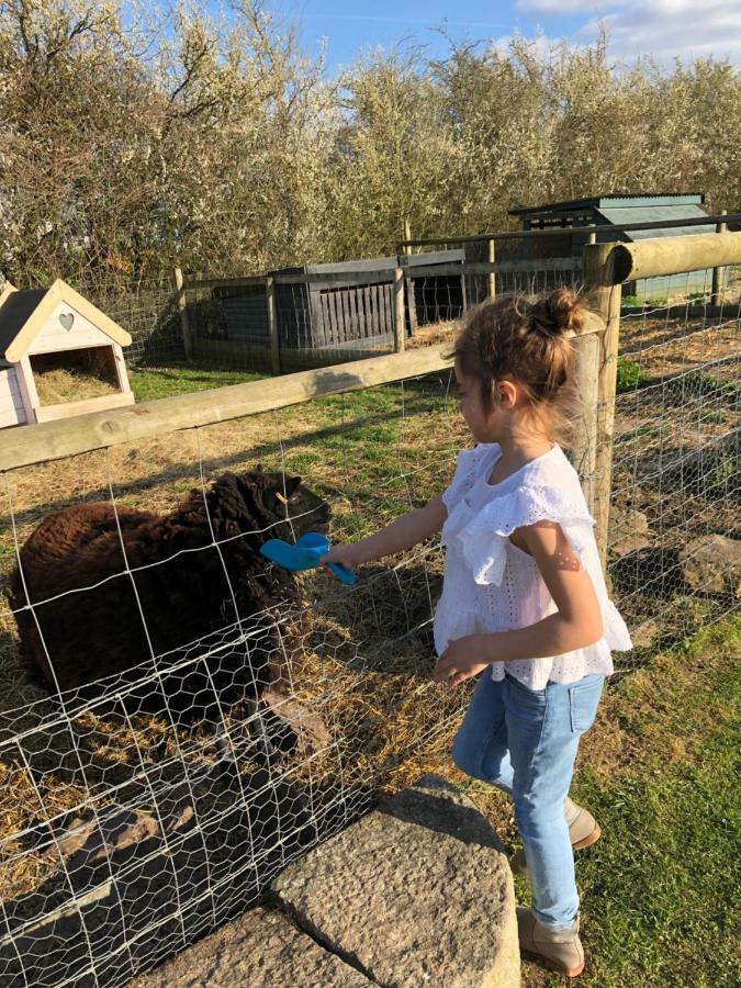 Willow Court Farm Studio South & Petting Farm, 8 Mins From Legoland & Windsor, 15 Mins From Lapland Uk Dış mekan fotoğraf