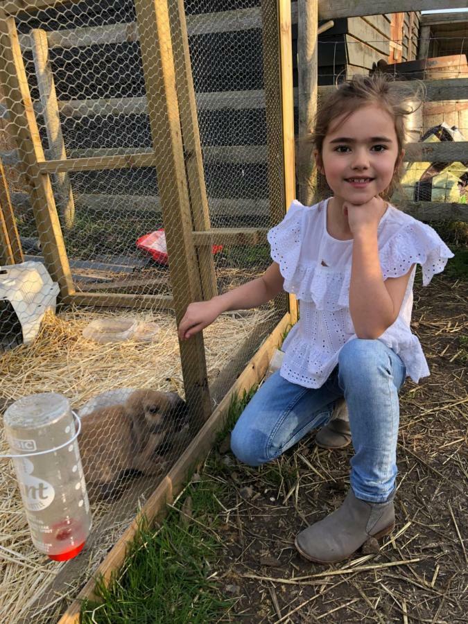 Willow Court Farm Studio South & Petting Farm, 8 Mins From Legoland & Windsor, 15 Mins From Lapland Uk Dış mekan fotoğraf