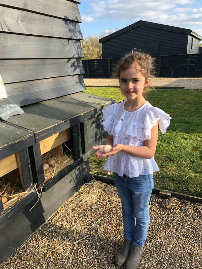 Willow Court Farm Studio South & Petting Farm, 8 Mins From Legoland & Windsor, 15 Mins From Lapland Uk Dış mekan fotoğraf