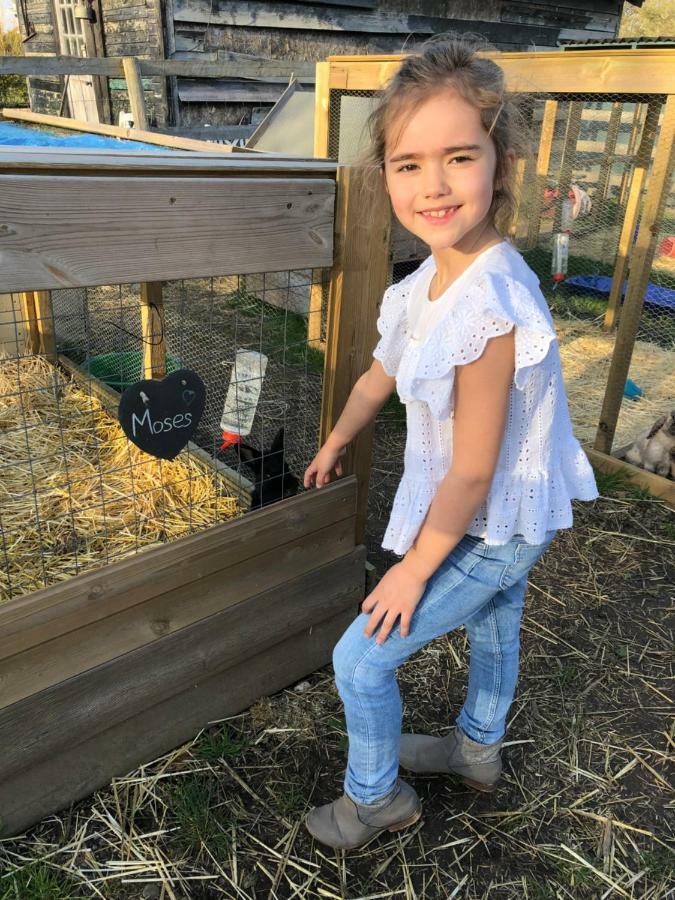 Willow Court Farm Studio South & Petting Farm, 8 Mins From Legoland & Windsor, 15 Mins From Lapland Uk Dış mekan fotoğraf
